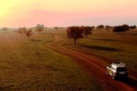 Visita Cabañeros. Rutas 4x4 por la raña de Cabañeros. Visita Cabañeros. Rutas 4x4 por la raña de Cabañeros.