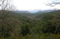 Rutas de Gargantilla: rutas del Robledal-Alcornocal, del Valle del Alcornocal y de Valhondo, todas ellas con guía-intérprete.