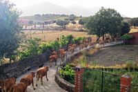 Paisaje rural de Navas de Estena junto a Mirador de la Fuente